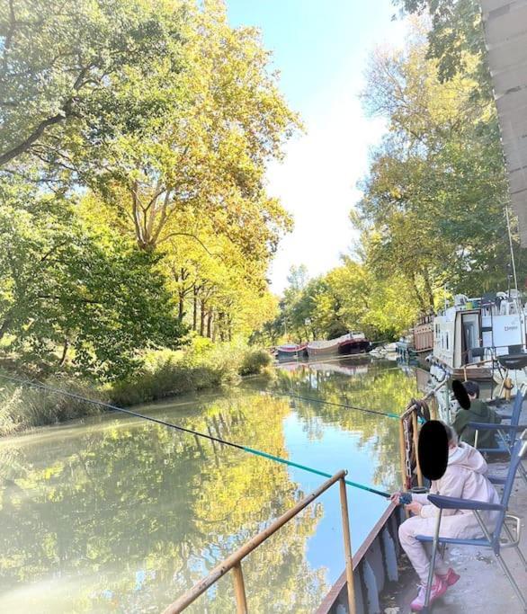 Insolite Peniche Amazonie Canal Du Midi Gardouch Εξωτερικό φωτογραφία