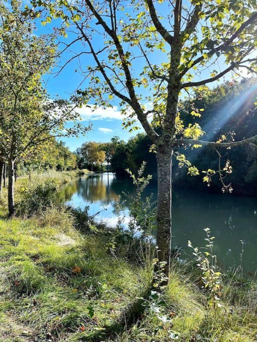 Insolite Peniche Amazonie Canal Du Midi Gardouch Εξωτερικό φωτογραφία