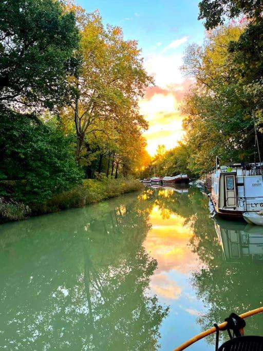 Insolite Peniche Amazonie Canal Du Midi Gardouch Εξωτερικό φωτογραφία