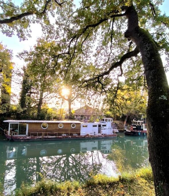 Insolite Peniche Amazonie Canal Du Midi Gardouch Εξωτερικό φωτογραφία